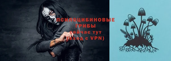 не бодяженный Арсеньев