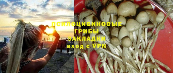 дживик Баксан